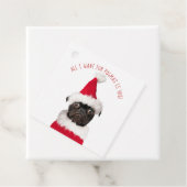 Étiquettes Cadeau Noël Festif mignon Carlin noir Père Noël (En situation)