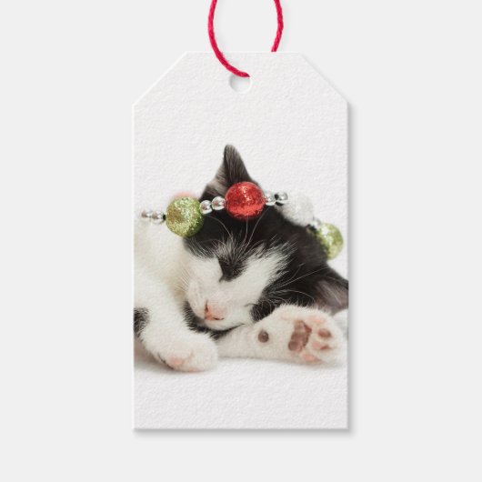 Étiquettes-cadeau Noël Matin Kitten (Devant)