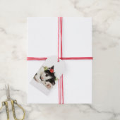 Étiquettes-cadeau Noël Matin Kitten (Avec de la ficelle)