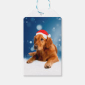 Étiquettes-cadeau Noël Mignonne Golden Retriever Chien Santa Hat Nei (Devant)