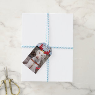 Étiquettes-cadeau Noël Ollie