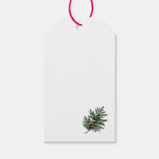 Étiquettes-cadeau Noël Simplical Cedar Sprig (Dos)