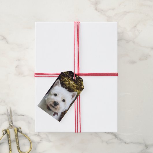 Étiquettes-cadeau Noël Westie (Avec de la ficelle)