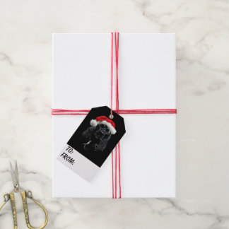 Étiquettes-cadeau Noir Cocker Spaniel Noël