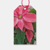 Étiquettes-cadeau Nom personnalisé Mots clés-cadeaux Rustic Poinsett (Dos)