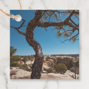 Étiquettes Cadeau Nouveau-Mexique photo du paysage