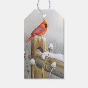 Étiquettes-cadeau Oiseau cardinal rouge du Nord sur l'aquarelle de c