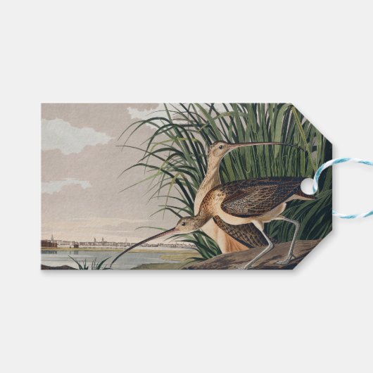 Étiquettes-cadeau Oiseau de Courlis à long bec Audubon (Devant (Horizontal))