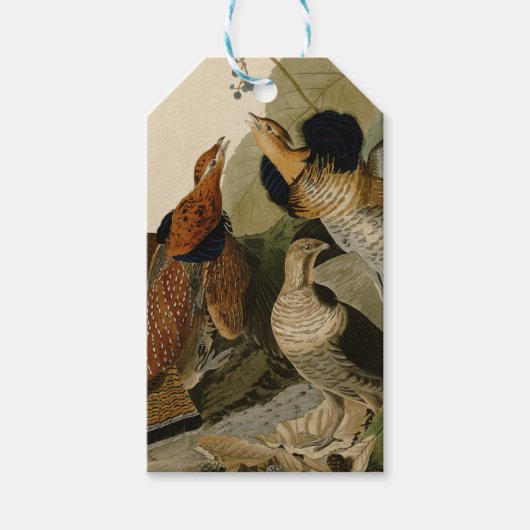 Étiquettes-cadeau Oiseau de gibier Audubon (Devant)