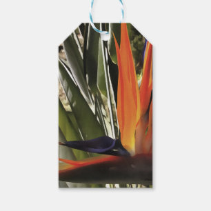 Étiquettes-cadeau Oiseau du Paradis Strelitzia Reginae Acrylique Pai