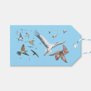 Étiquettes-cadeau Oiseaux migrateurs traçant leurs vols Illustration