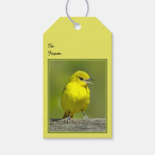 Étiquettes-cadeau Orchard Oriole - Photo originale