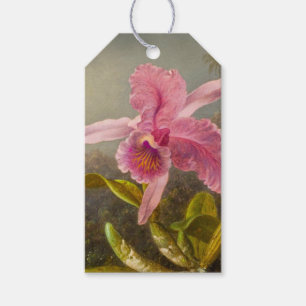 Étiquettes-cadeau Orchidée avec deux colibris Heade