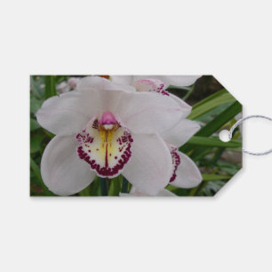 Étiquettes-cadeau Orchidée blanche II Élégante florale