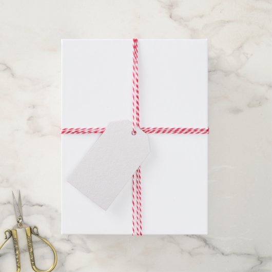 Étiquettes-cadeau Orchidée en Pot Vert Aquarelle botanique (Avec de la ficelle)