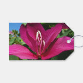 Étiquettes-cadeau Orchidée Fleurie tropicale Florale (Devant (Horizontal))