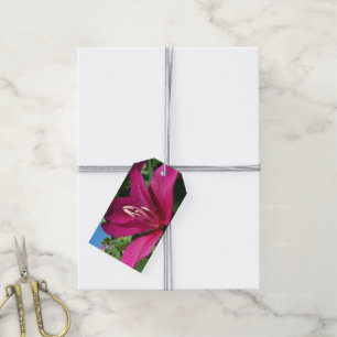 Étiquettes-cadeau Orchidée Fleurie tropicale Florale