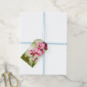 Étiquettes-cadeau Orchidée rose (Avec de laficelle)