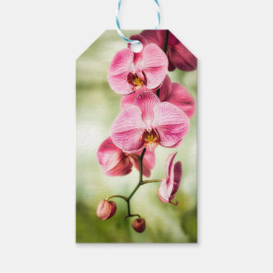 Étiquettes-cadeau Orchidée rose