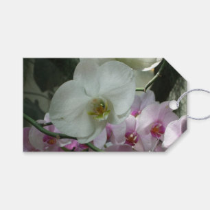 Étiquettes-cadeau Orchidées blanches et violettes
