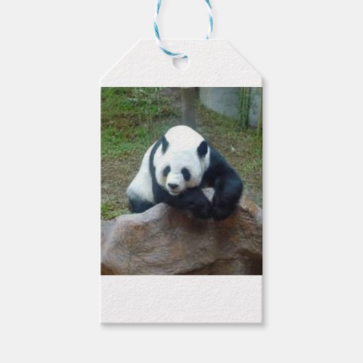 Étiquettes-cadeau Ours de panda chinois (Devant)