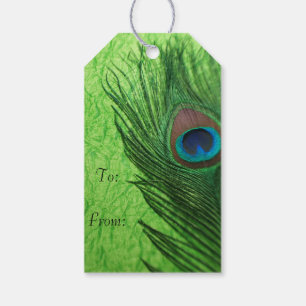 Étiquettes-cadeau Paon de vert de chaux