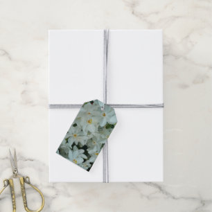 Étiquettes-cadeau Paperwhite Narcissus Fleurs blanches délicates