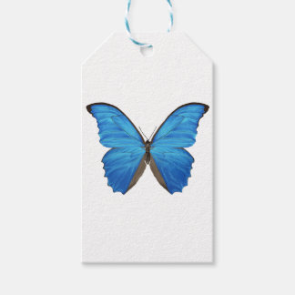 Étiquettes-cadeau Papillon bleu Morpho