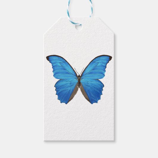 Étiquettes-cadeau Papillon bleu Morpho (Devant)