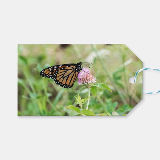 Étiquettes-cadeau Papillon monarque (Devant (Horizontal))