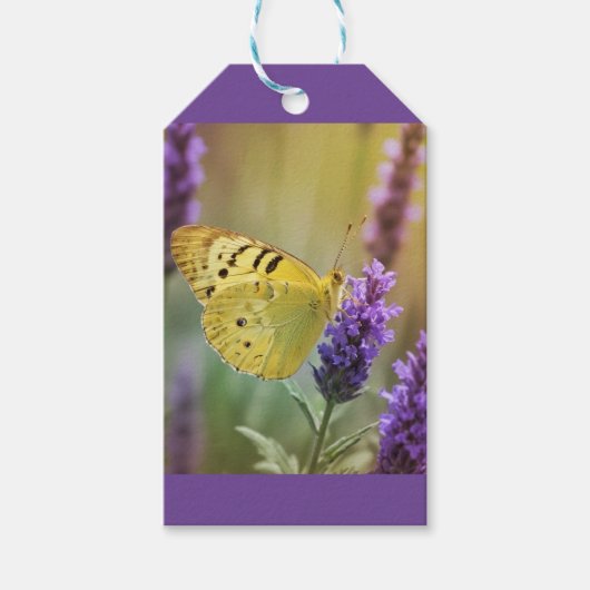 Étiquettes-cadeau Papillon sur Lavender (Devant)