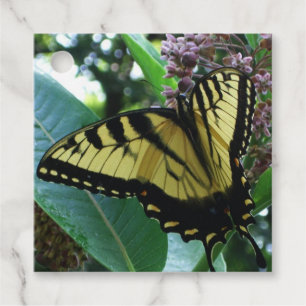 Étiquettes Cadeau Papillon Swallowtail I sur Milkweed à Shenandoah