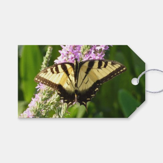 Étiquettes-cadeau Papillon Swallowtail sur Fleurs sauvages pourpres (Devant (Horizontal))