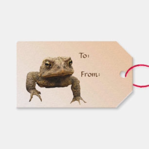 Étiquettes-cadeau Paquet de crapaud américain d'étiquettes de cade