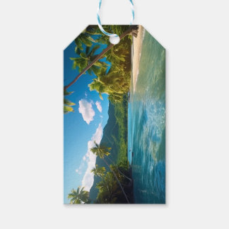 Étiquettes-cadeau Paradis insulaire du Costa Rica