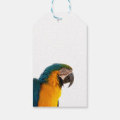 Étiquettes-cadeau Parrot coloré (Dos)