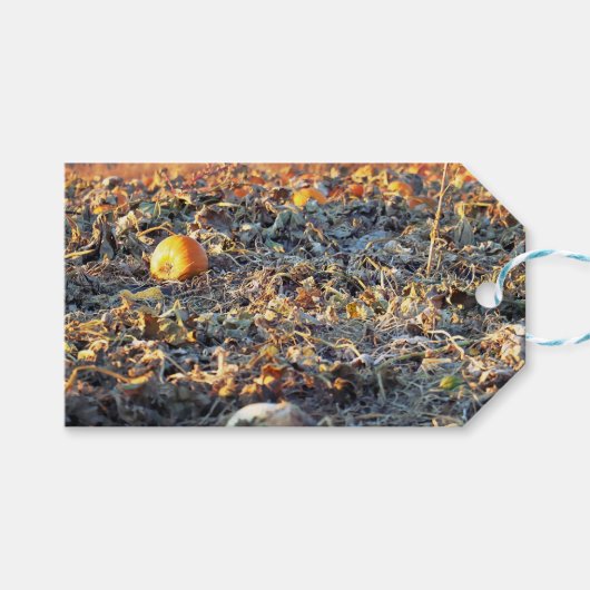 Étiquettes-cadeau Patch de citrouilles givré (Devant (Horizontal))