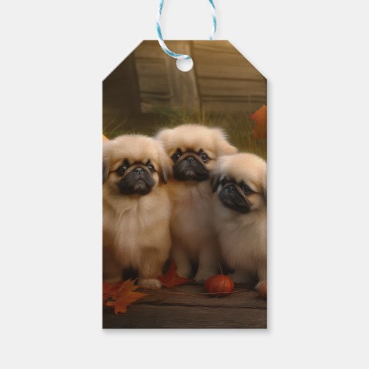 Étiquettes-cadeau Pekingese Chiot Automne Citrouille délice (Devant)