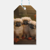 Étiquettes-cadeau Pekingese Chiot Automne Citrouille délice (Dos)