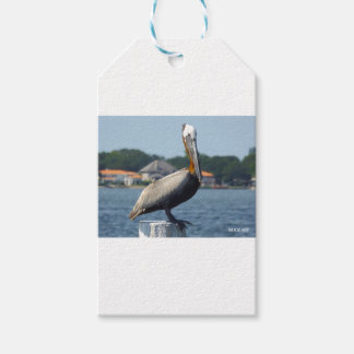 ÉTIQUETTES-CADEAU PELICAN