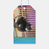 Étiquettes-cadeau Pep (Devant)