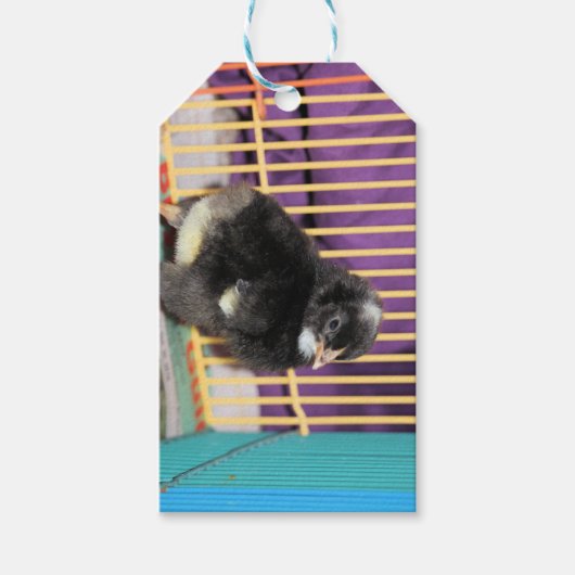 Étiquettes-cadeau Pep (Devant)