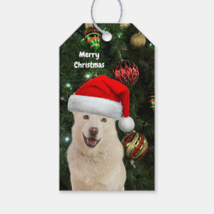 Étiquettes-cadeau Père Noël Paws - Crystal the Husky Dog Personnalis