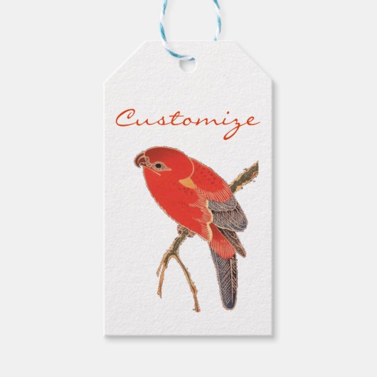 Étiquettes-cadeau Perroquet Rouge Tropical Thunder_Cove (Devant)