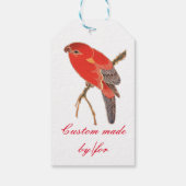Étiquettes-cadeau Perroquet Rouge Tropical Thunder_Cove (Dos)