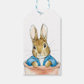 Étiquettes-cadeau Peter le lapin assis dans un pot Plante (Devant)