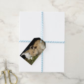 Étiquettes-cadeau Petit lapin moelleux (Avec de laficelle)