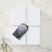Étiquettes-cadeau Phoque d'éléphant dormant (Avec de laficelle)