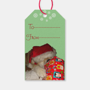Étiquettes-cadeau photo de chien drôle de mignonne akita à noël