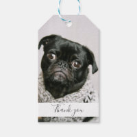 Photo de chien My Humains Merci Mariage